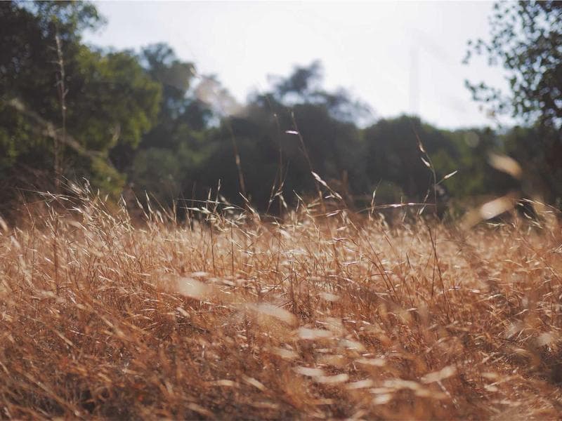 Acode - powerful code editor screenshot 1