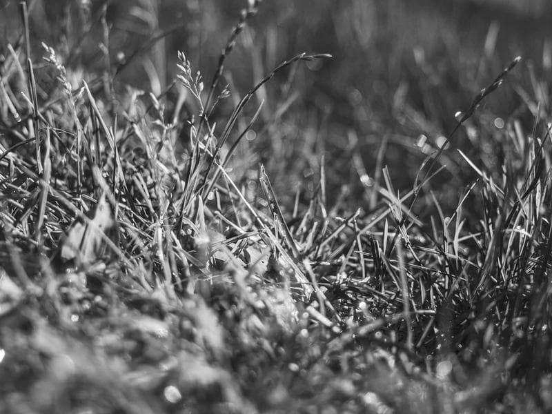 Acode - powerful code editor screenshot 2