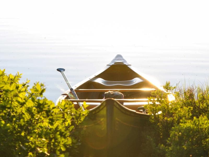 Headspace: Mindful Meditation screenshot 1