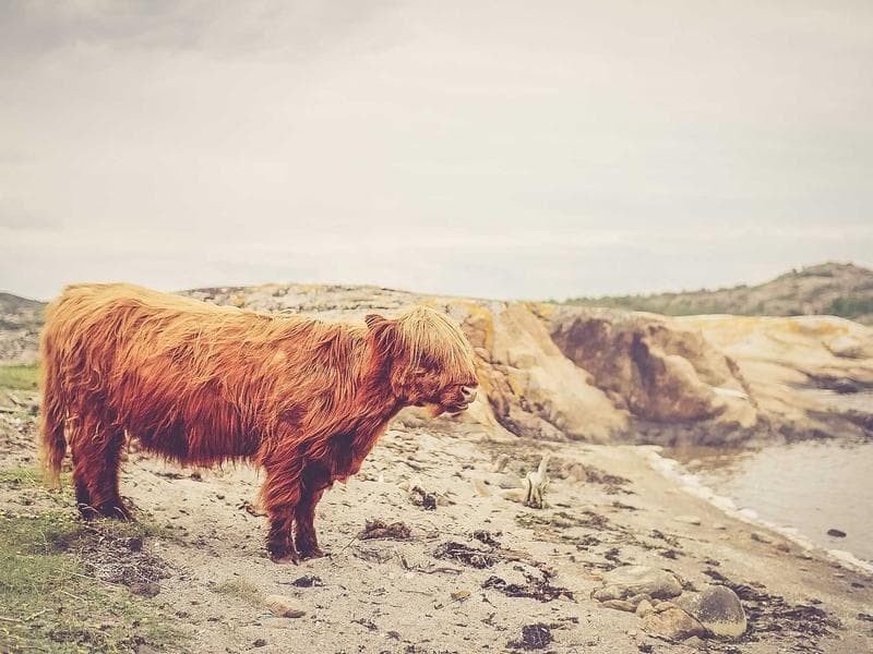 Headspace: Mindful Meditation screenshot 2