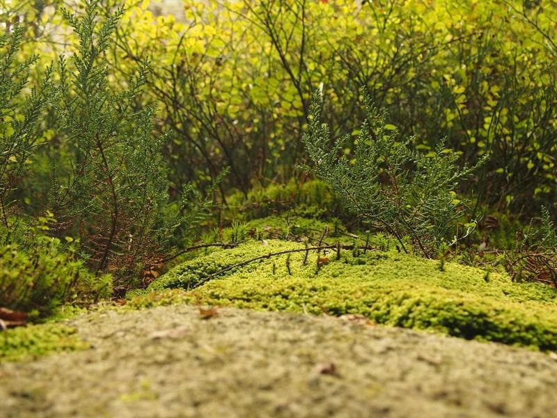 Nike Training Club screenshot 1