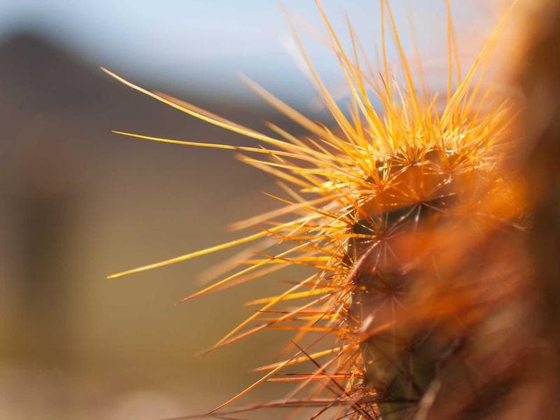 Nike Training Club screenshot 2