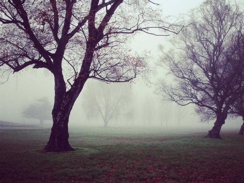 OpenTable screenshot 1