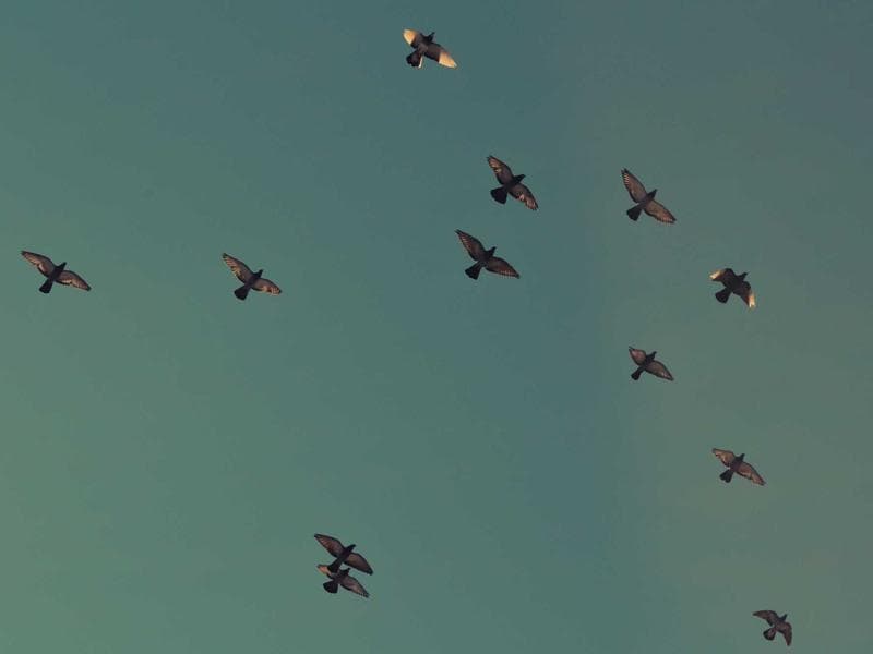 Robinhood screenshot 1