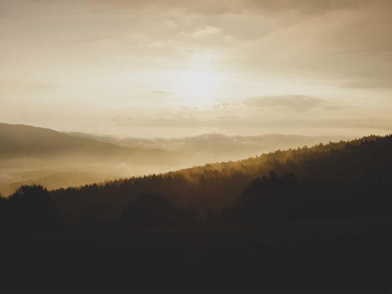 Tabnine AI screenshot 1