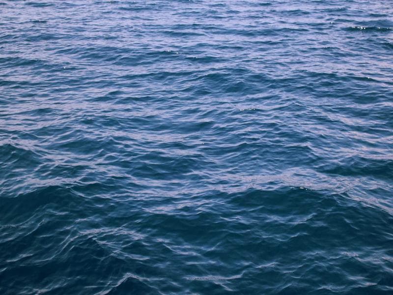 Trello: Manage Team Projects screenshot 1