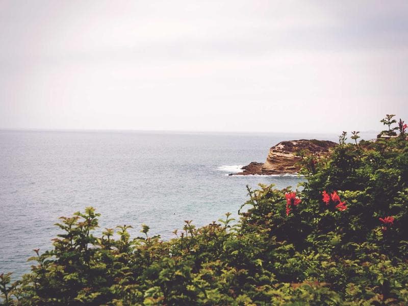 Uber Eats: Food Delivery screenshot 2