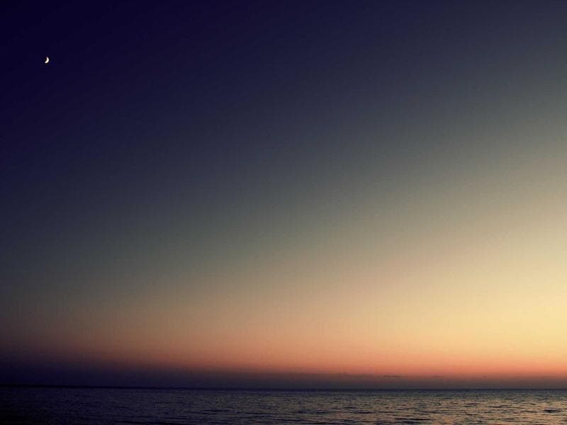 Waterllama: Water Tracker screenshot 1