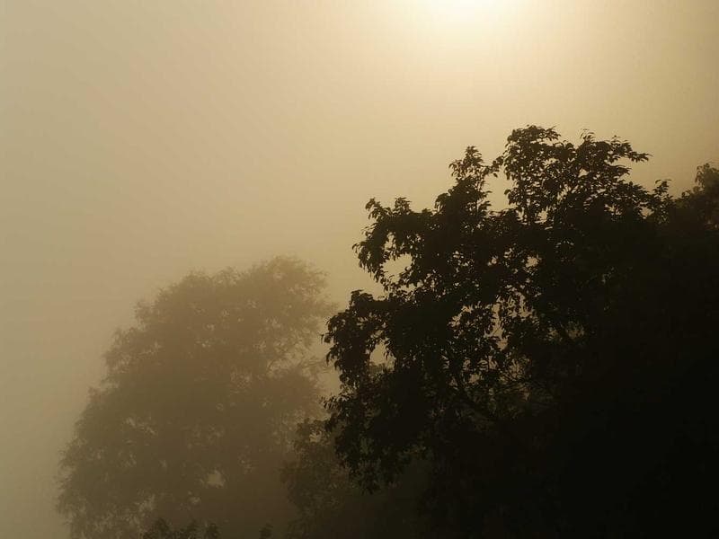 X (Twitter) screenshot 2